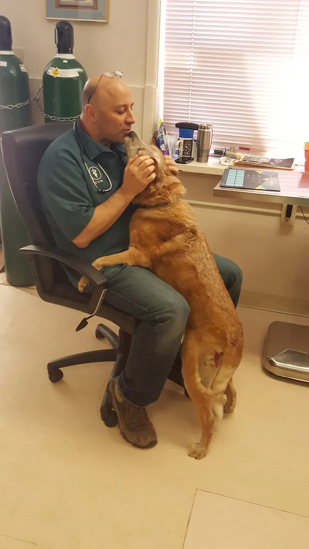 A client with a golden dog at Bayfield Animal Hospital
