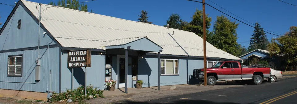The blue-gray Bayfield Animal Hospital building with its carved wood sign on Pine Street