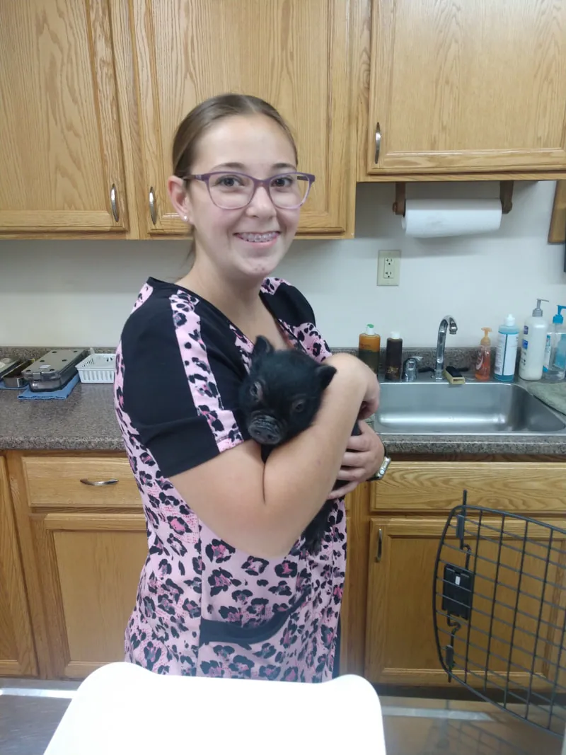 A staff member holding a guinea pig