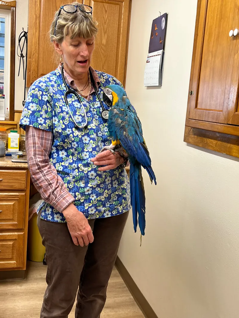 A staff member holding a blue-and-gold macaw